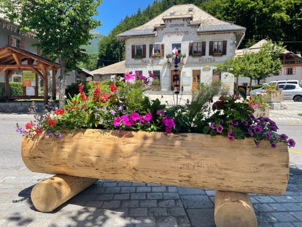 Montriond
