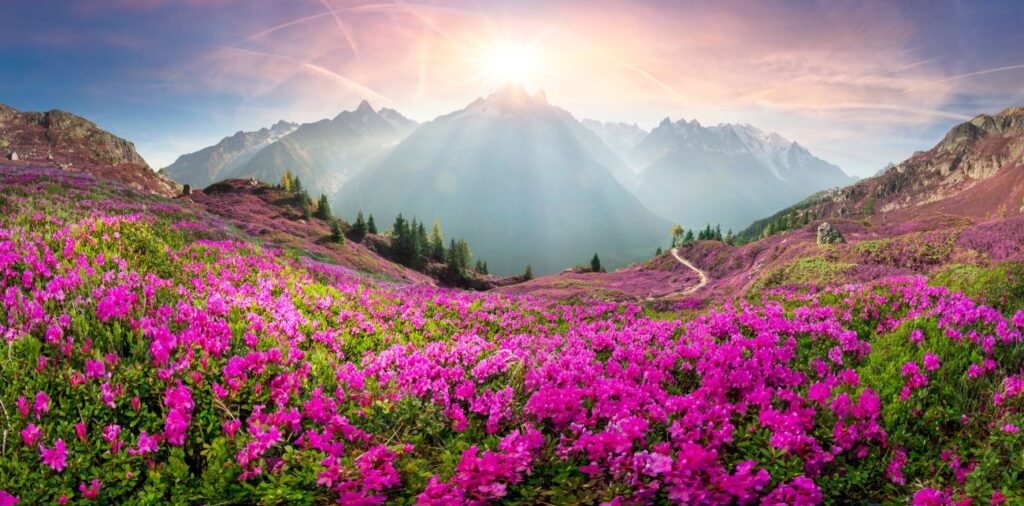 Morzine