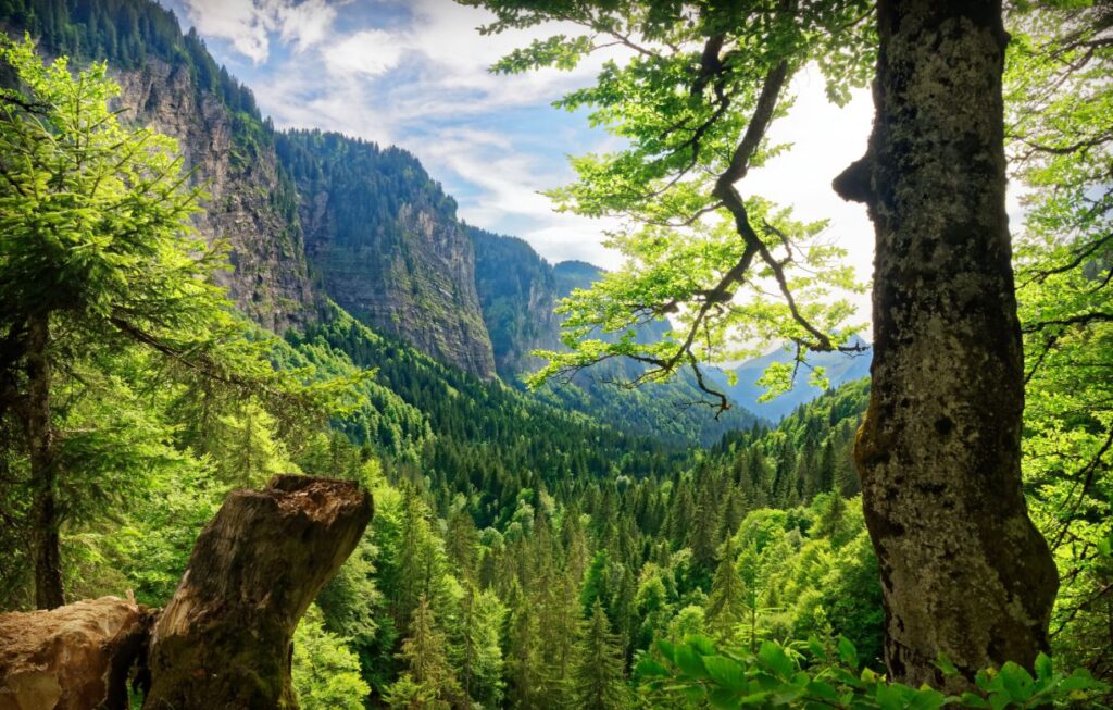 Morzine
